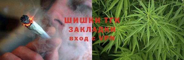 гашик Алзамай