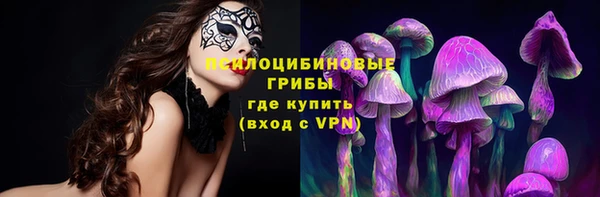 соль ск Алексин