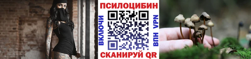Галлюциногенные грибы Psilocybe  где найти наркотики  Северодвинск 